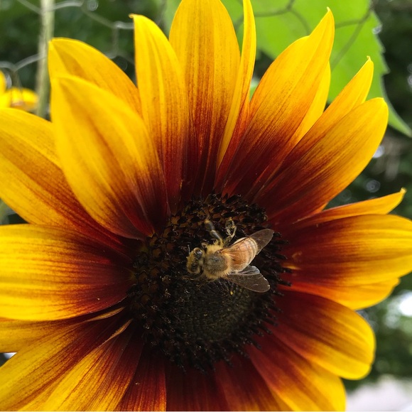 Meet your Posher, Jennifer - Picture 9 of 15